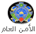 الأمن العام