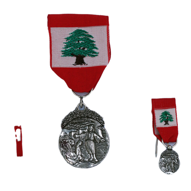    الدرجة الثانية - فضي ذو السعف